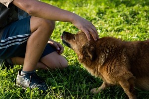 homme-avec-chien