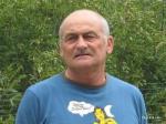 bambicardo