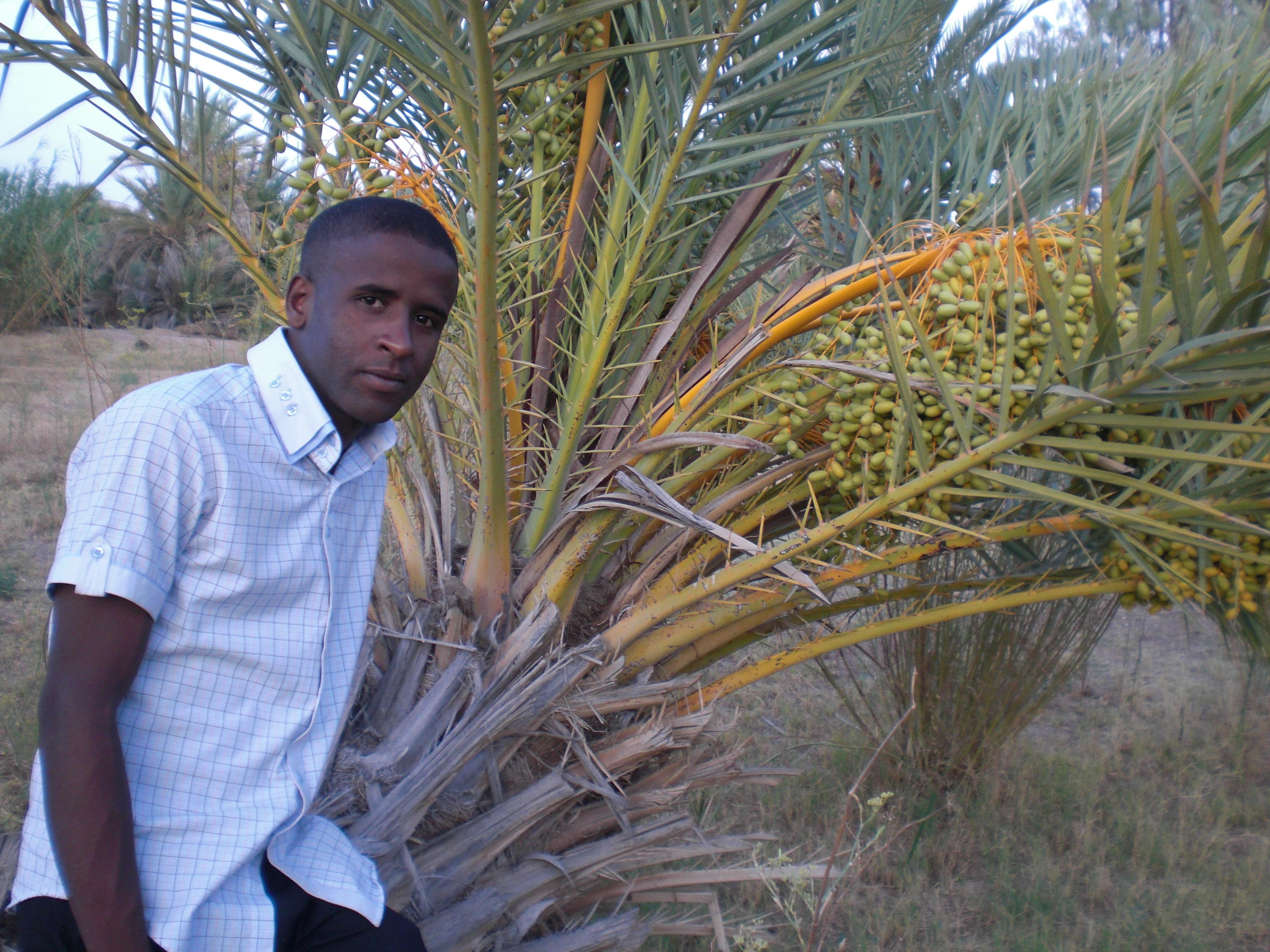 abdo86