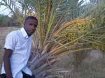 abdo86