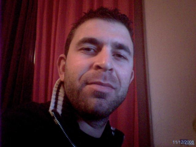 dauphin_bleu10