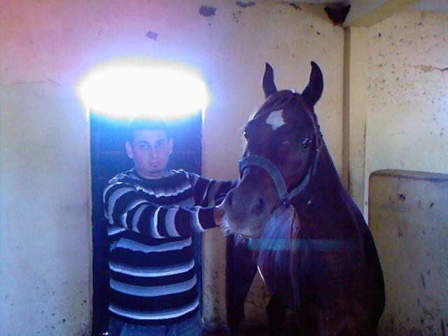 nabil269