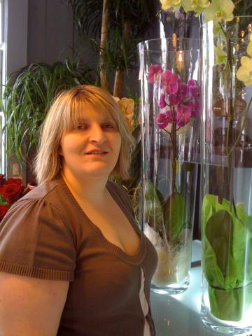 cymbidium