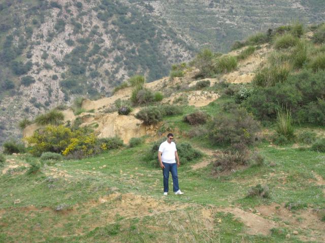raouf999