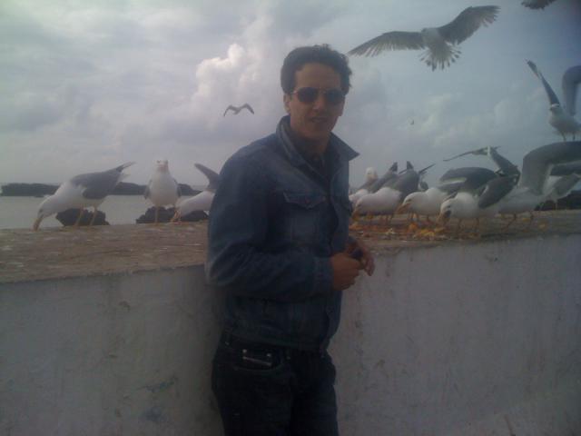 dahbi