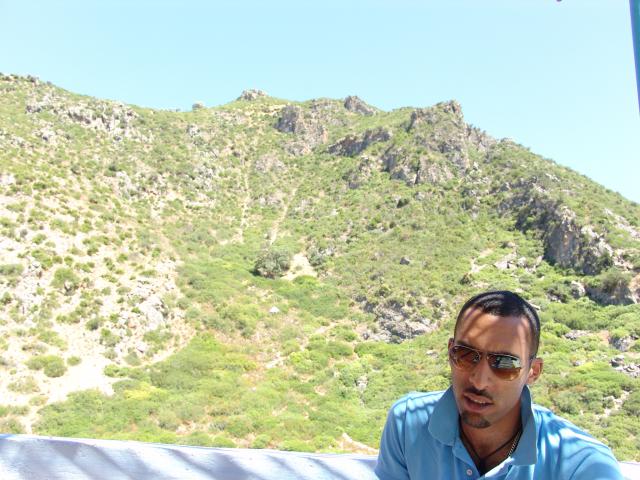 gvido