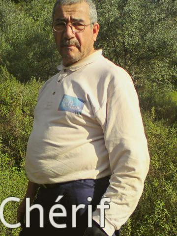 slcherif