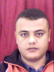 zied981