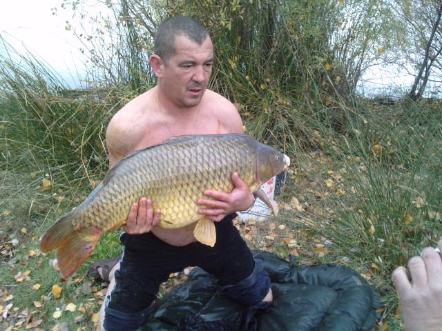 baltringue66