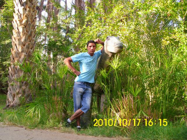 mourad2011