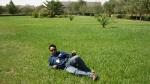 Aniscome