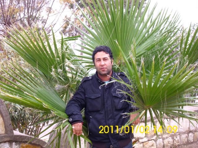 powerman2011