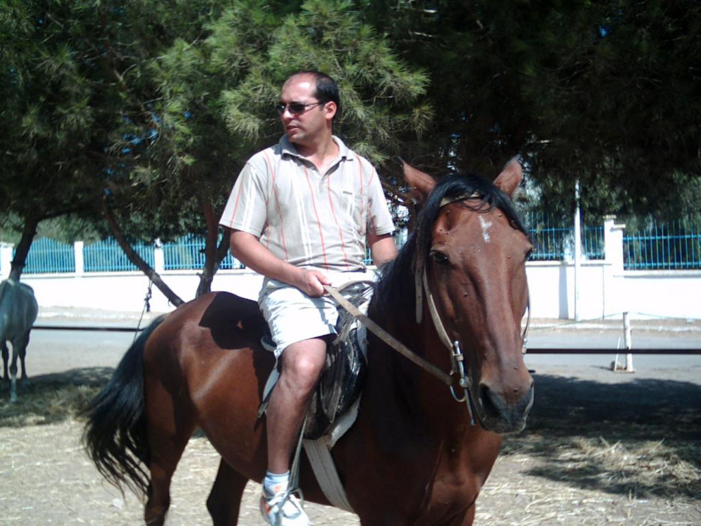 alphawalid16
