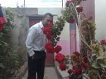 louisjoss