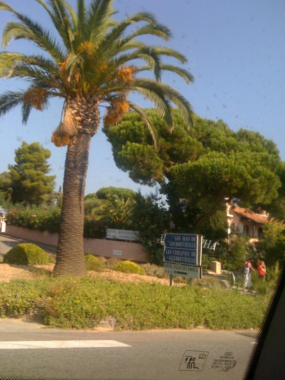 tomypiii
