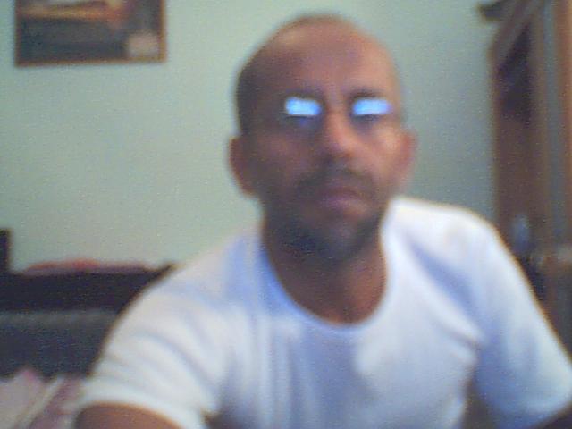 harldy