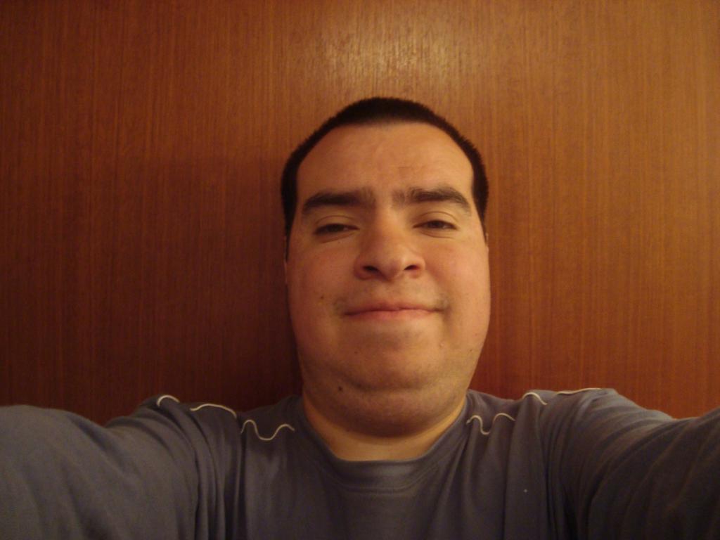 seb_tournesol