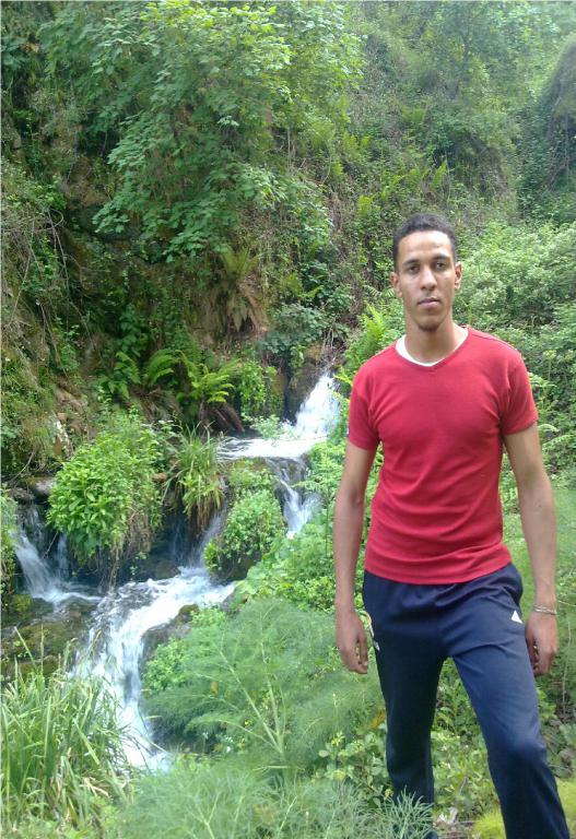 mt_amine
