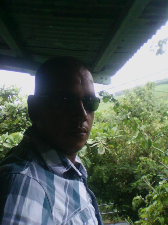 steph97410