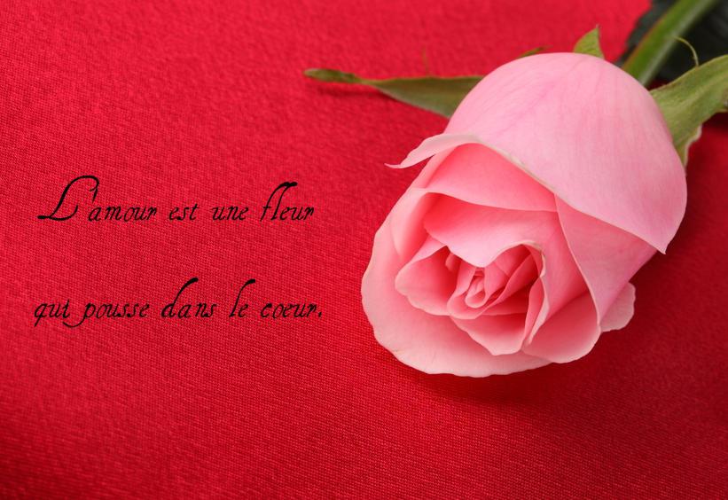 ciel_