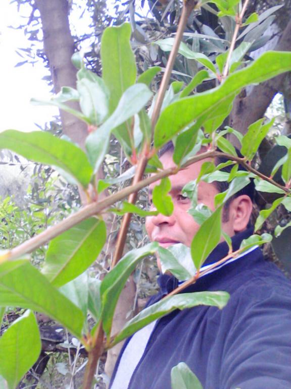 ibrahiim