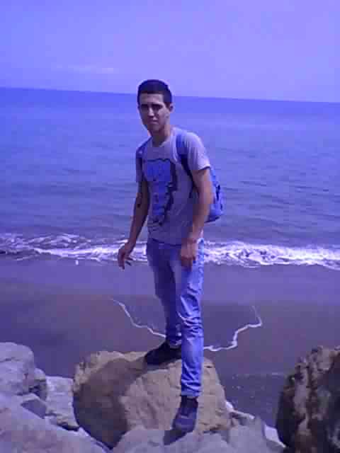 Giilardino