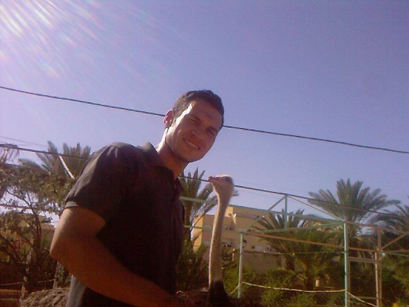 azzi66
