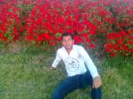 Photo waelsniper