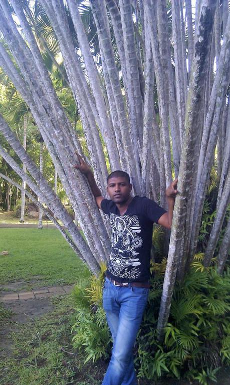 vikish