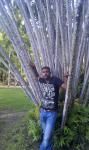 Photo vikish
