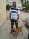 manef