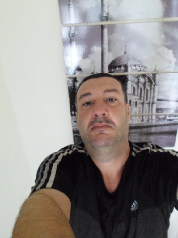 anis_lion