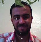 AFIF1978