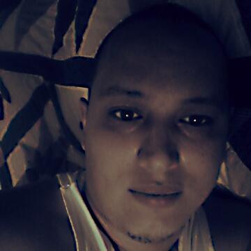 didibed