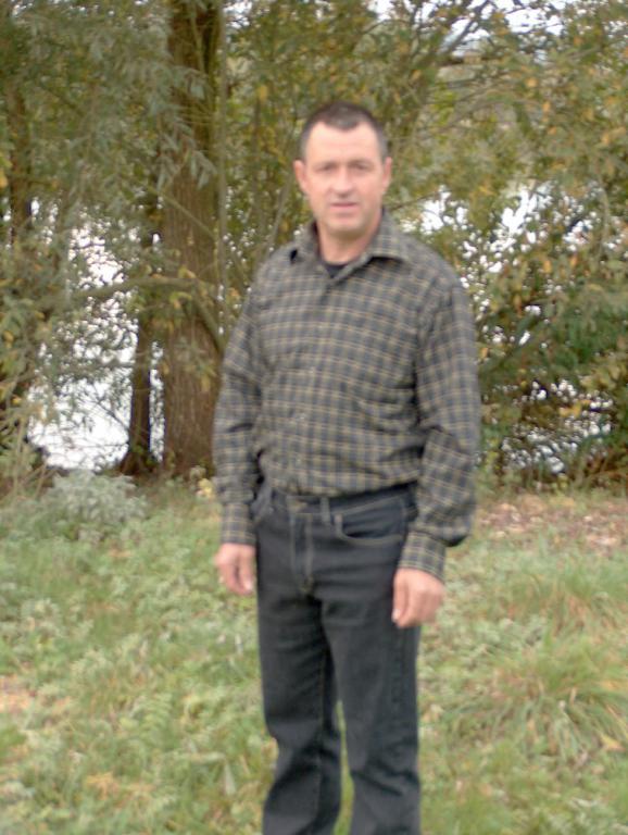 marcassin