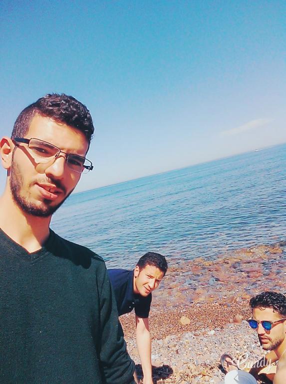 mehdifox