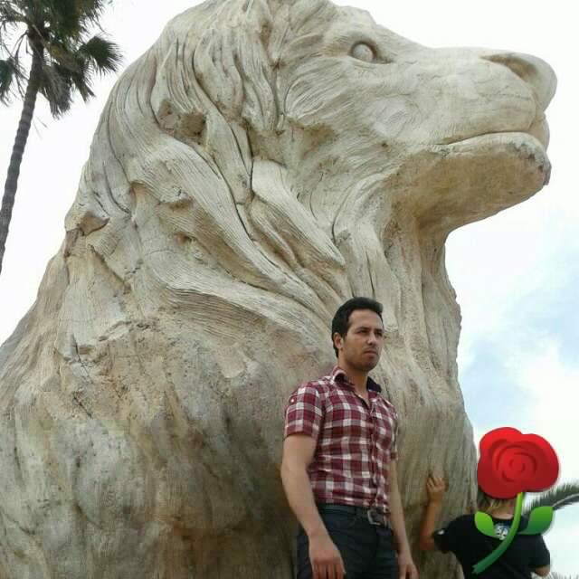 azzeddinelee