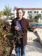 Photo amadigh