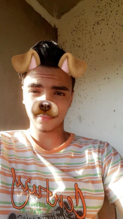 Mahdimlh12