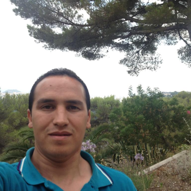 hassan37