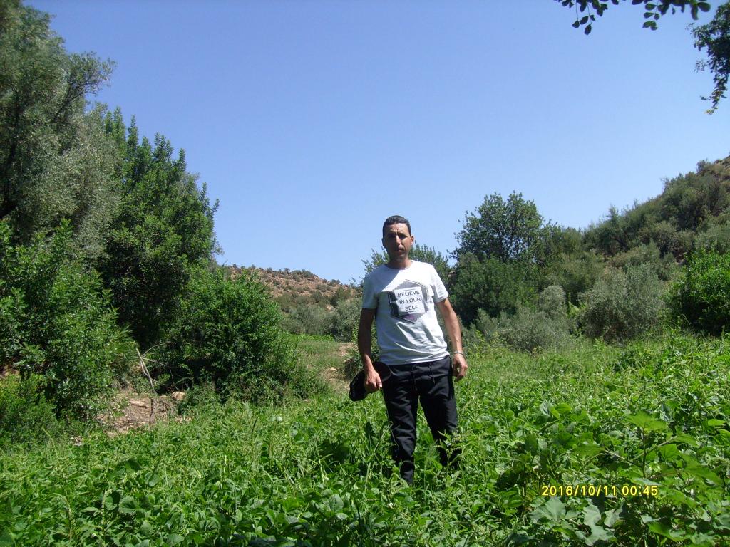 simostar