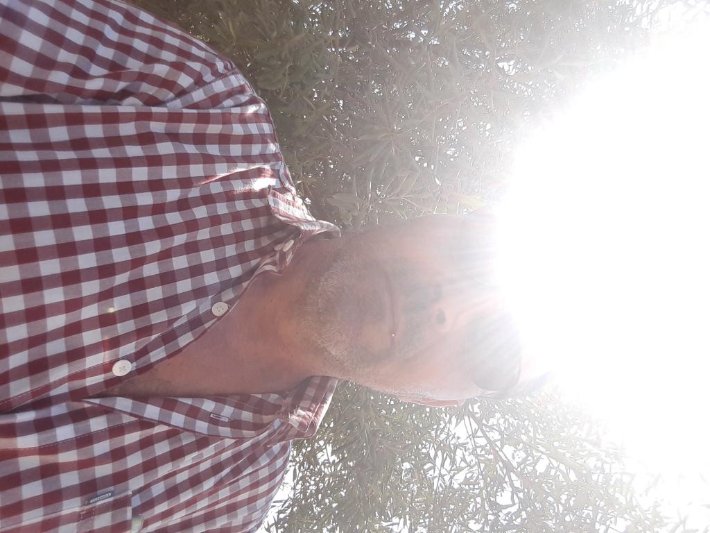 madjid50