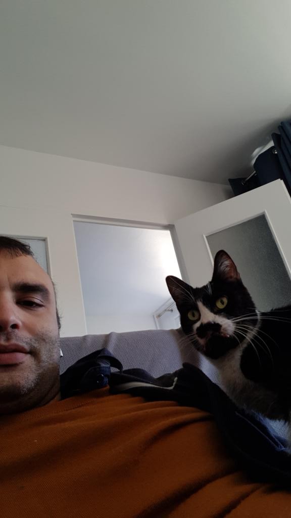 Oursbrun82