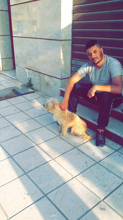 Amine930000