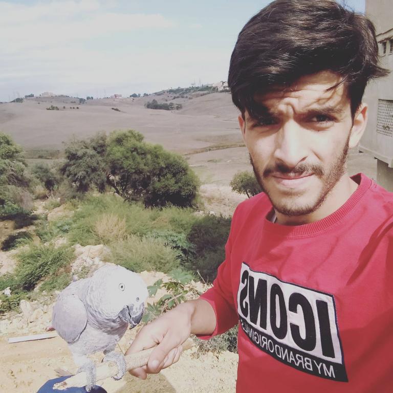 khaledarfed