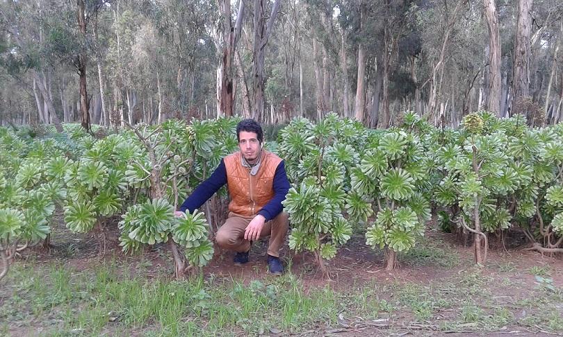 MounirAmmar