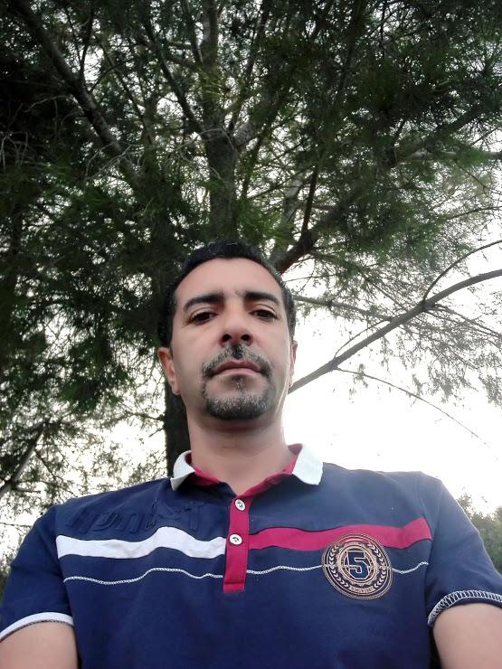lotfi2007