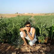 Photo aminealger