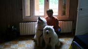 Photo olathee