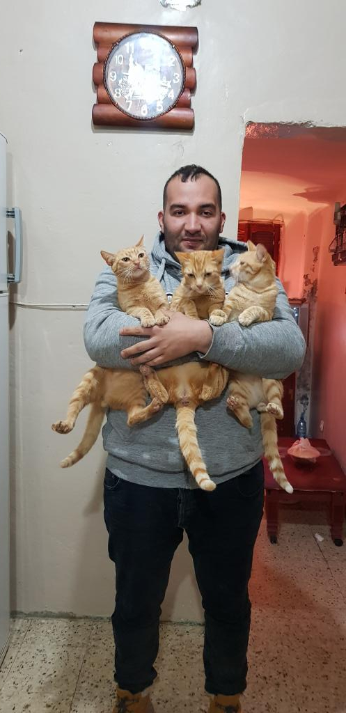 Abderrahmane26